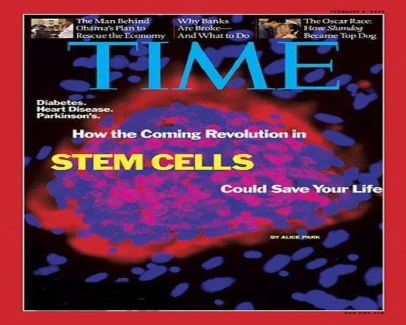 Stem Cell Therapy